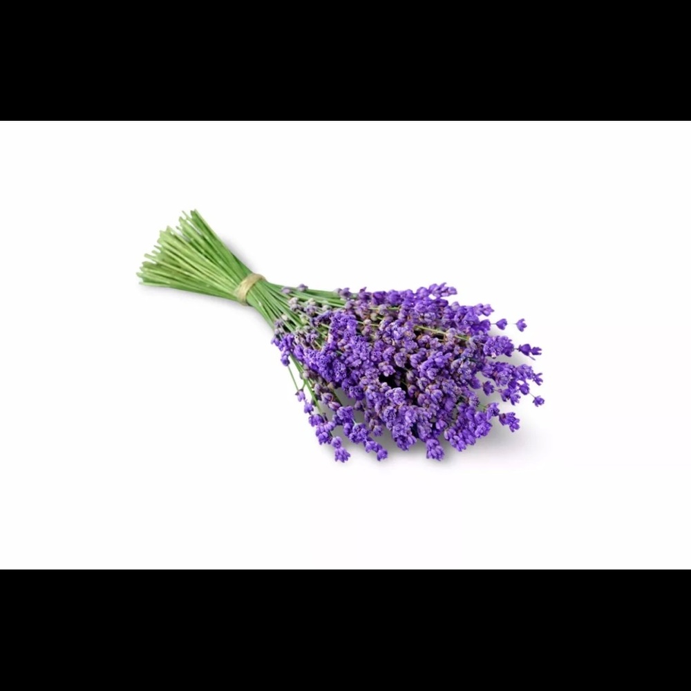 6 ORANGE VANILLA ORGANIC LAVENDER SACHETS 6 Pack Our a New Larger Sachets - Picture 2 of 6